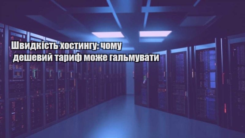 shvydkist hostyngu chomu deshevyj taryf mozhe galmuvaty