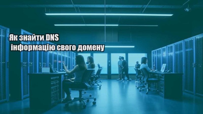 yak znajty dns informacziyu svogo domenu