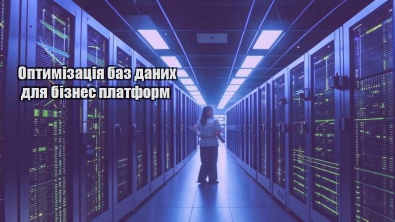 optymizacziya baz danyh dlya biznes platform